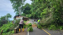 Personel Polsek Jaya bersama Satlantas Polres Aceh Jaya, Koramil 01 Lamno membersihkan dahan pohon tumbang. (Foto: dok. Humas Polres Aceh Jaya)
